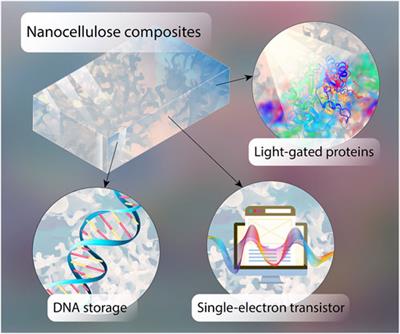 Nanocellulose Composites as Smart Devices With Chassis, Light-Directed DNA Storage, Engineered Electronic Properties, and Chip Integration